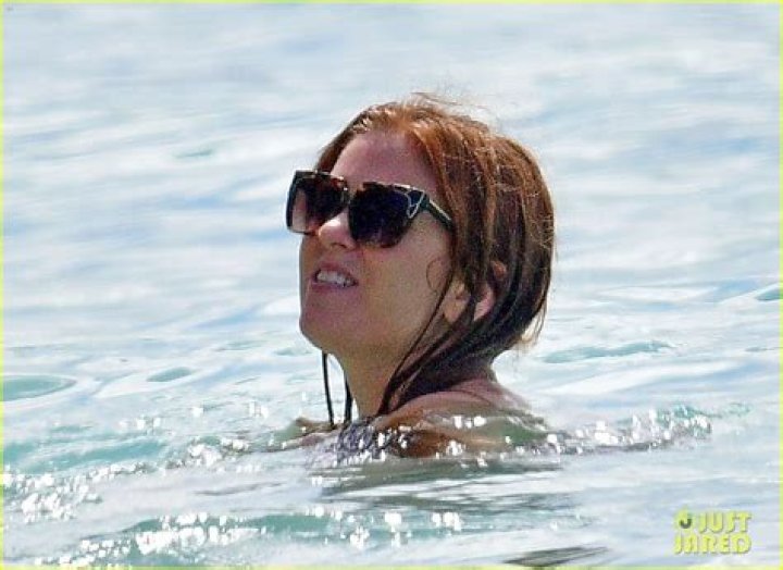 Isla Fisher in Bathing Suit Says She's "Missing You" — Celebwell