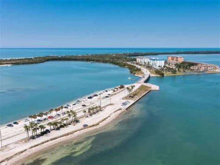 Jessica Dolan – Palm Harbor, FL