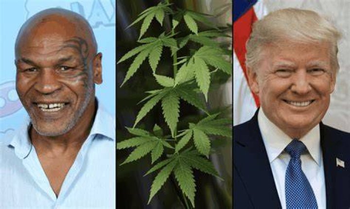 Joe Rogan Goes Off On Joe Biden’s Belief That Marijuana Is A Gateway Drug That Should Be Illegal – ‘That Is An Archaic And Ignorant Way Of Thinking’