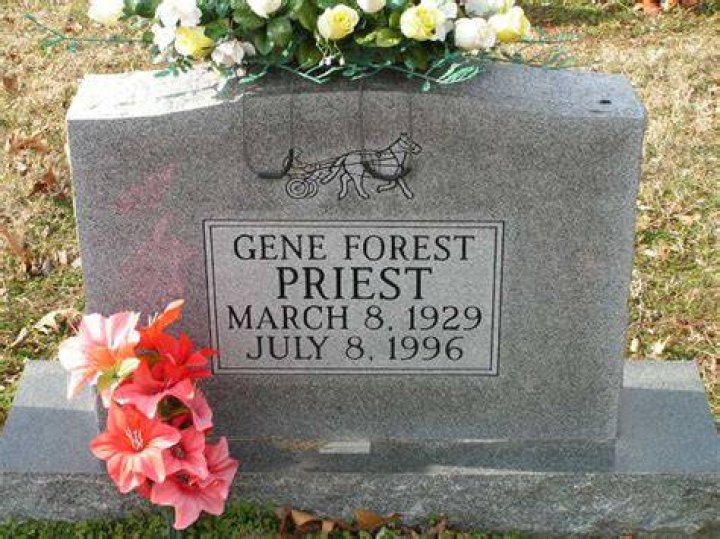 Jules Wainstein parents: Kazue Forrest, Gene Forrest