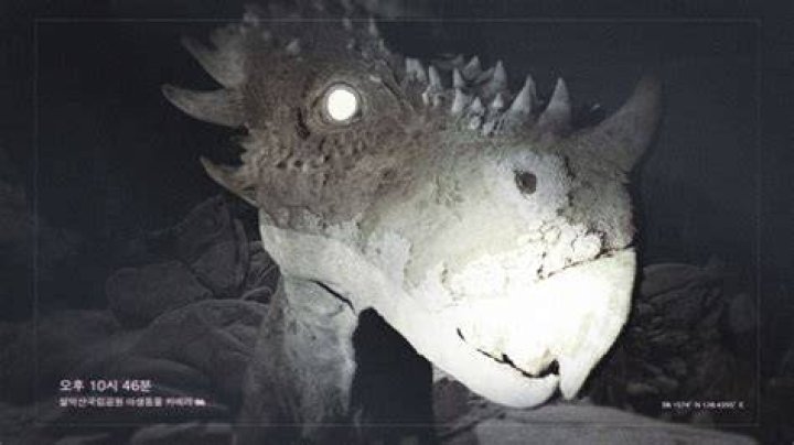 ‘Jurassic World Dominion’ fans submit their dinosaur sightings to Dinotracker website