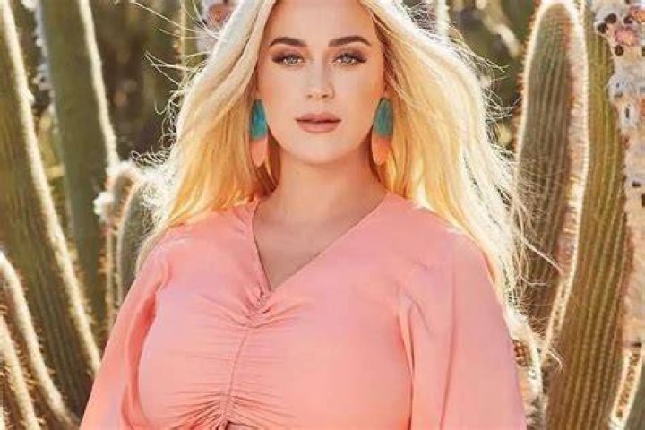 Katy Perry Reveals Her Baby’s Nursery, And It Looks Amazing – See Her Video Here