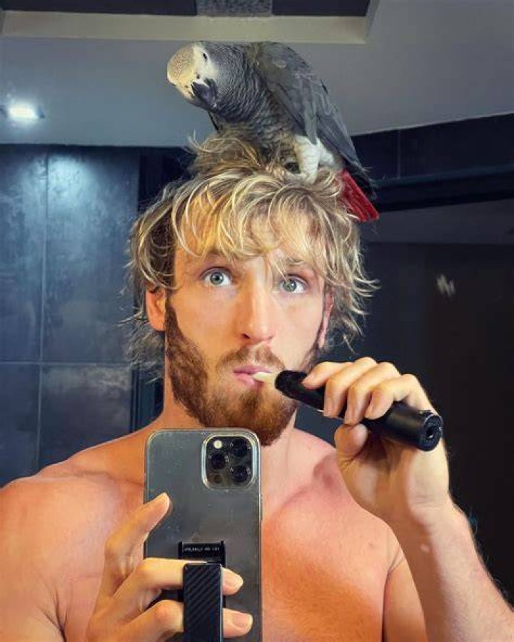 Logan Paul Biography - Facts, Childhood, Family Life & Achievements