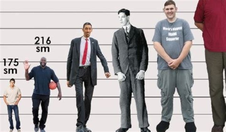 Male Celebrities Who Are 6 Feet 9 Inches (206 cm) Tall