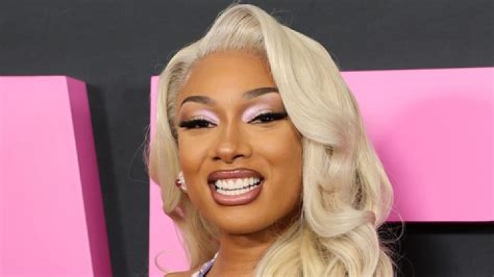 Megan Thee Stallion in Two-Piece Workout Gear Shares Gym Selfie — Celebwell