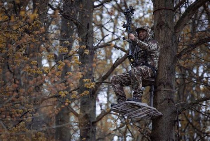 Michael S. Rinaldo dies from tree stand fall while hunting in N.Y. with his Dad.