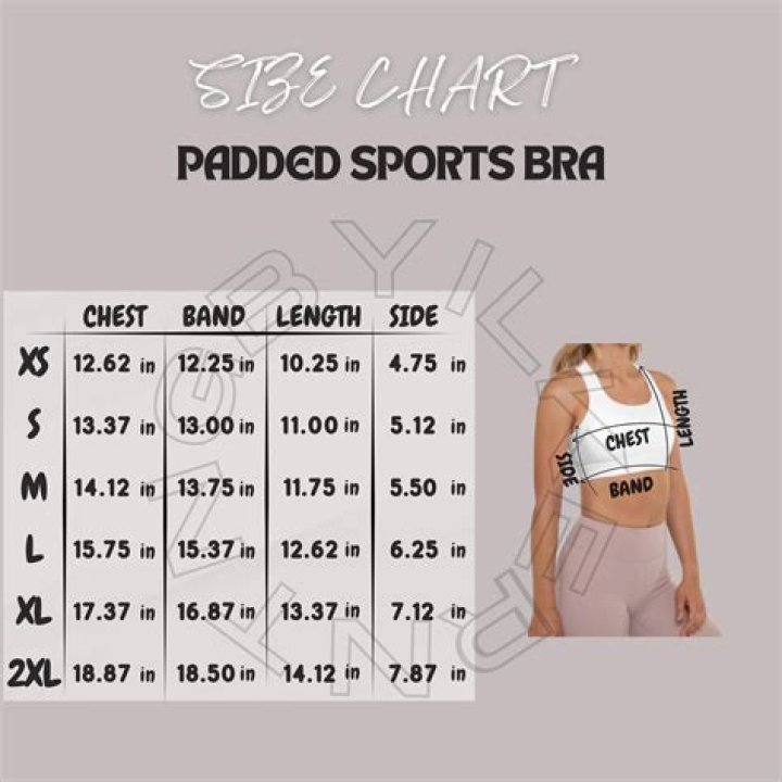 Miesha Tate Body Measurements Bra Size Height Weight Biceps Shoe Vital Statistics