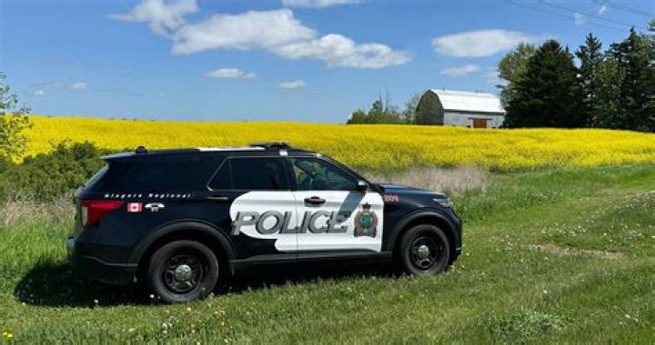 Missing Danijel Njegovan Uodate; Help find Ontario Man, Hamilton Police Seeks