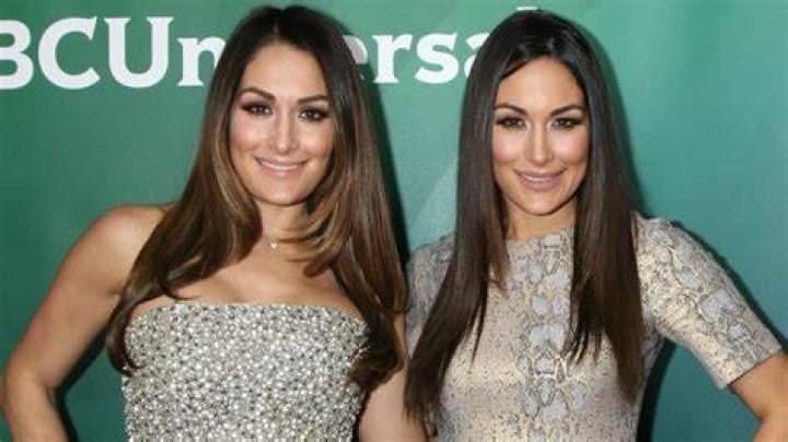 Nikki Bella Has The Best Teacher For Adapting To Motherhood — Her Sister Brie Bella!