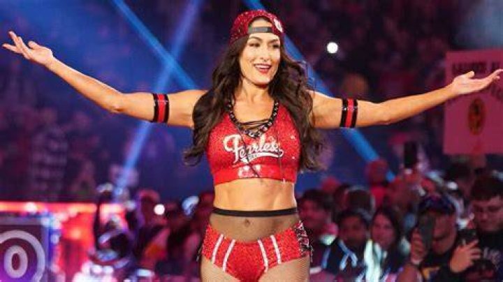 Nikki Bella Returns To Social Media 2 Weeks After Giving Birth – Tells Fans She’s ‘Never Cried’ So Many Happy Tears Before Becoming A Mom!