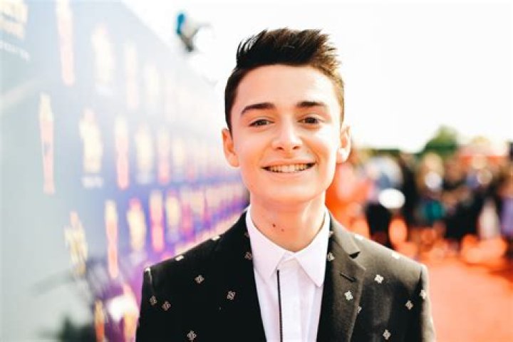 Noah Schnapp net worth: How much is Noah Schnapp worth?