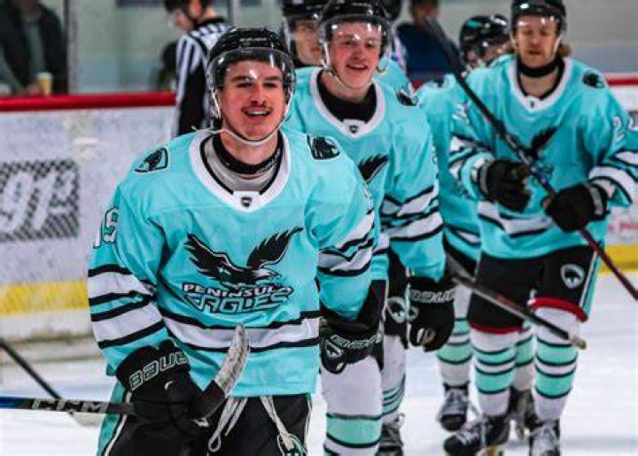 Obituary: Former Hockey Brad Tippett Passes Away, Peninsula Panthers Mourns