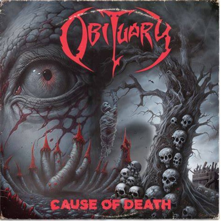 Obituary | Megan Amme Cause of Death