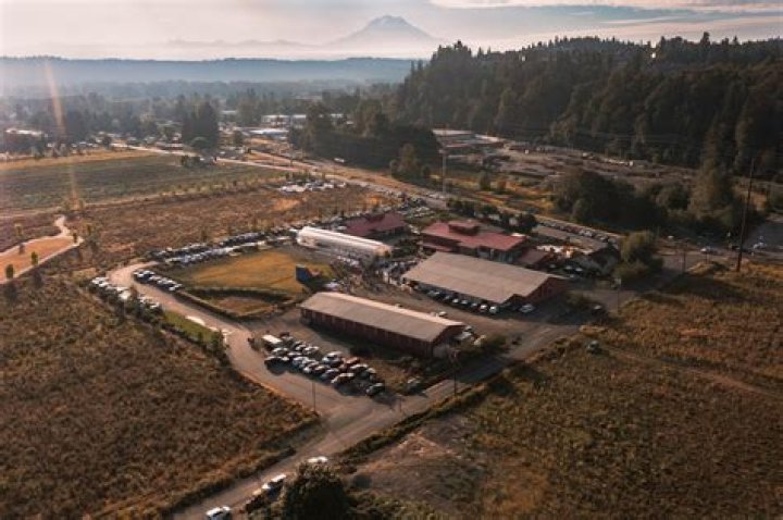 Reese Widman died in a car accident, Former Steilacoom High School Student and Baseball player,