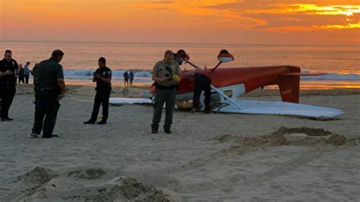 Rex Minter plane crash: How did Santa Monica Mayor died?