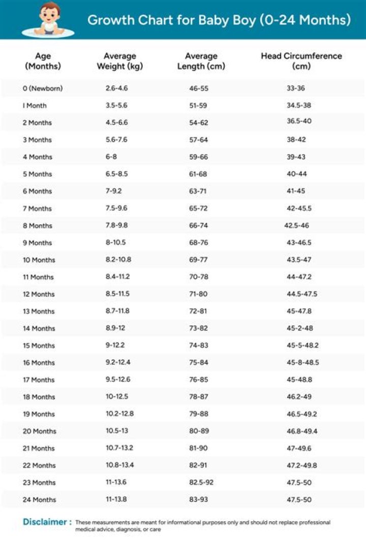 Sean Combs Body Measurements Weight Height Shoe Size Vital Statistics