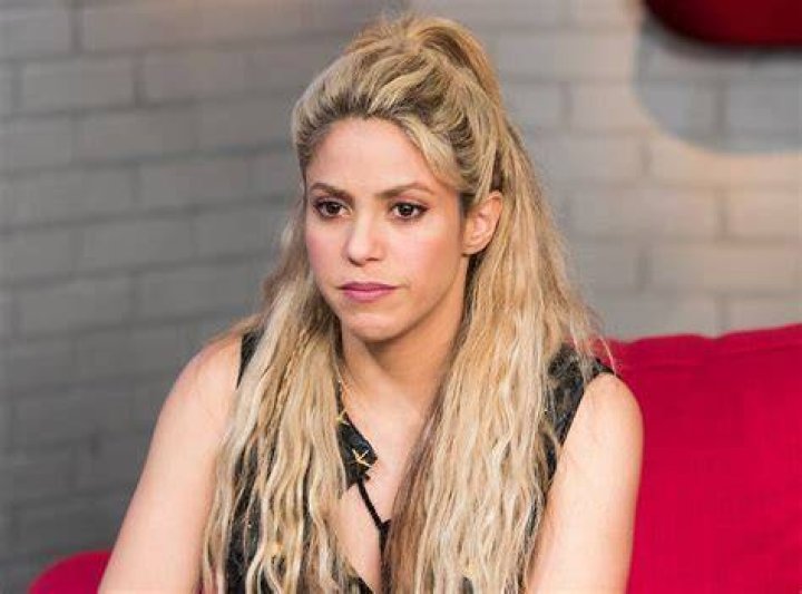 Shakira Defended By Fans After Sexist Banners Target Her Before Soccer Match!