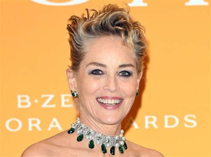Sharon Stone in Bathing Suit Says Hi From Paradise — Celebwell