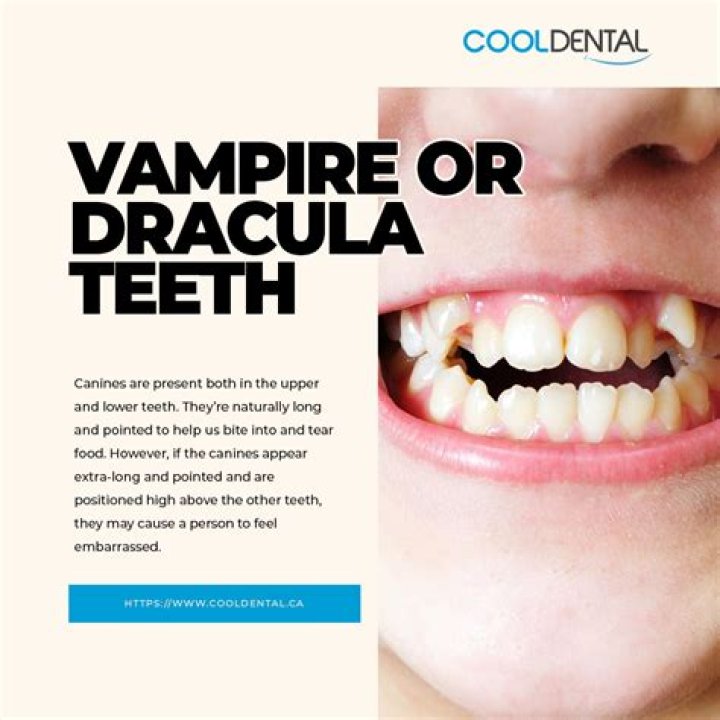 Sink your teeth into these shows just like ‘Vampire Diaries’
