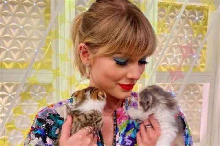 Taylor Swift Promotes Social Distancing And Self Quarantining With Her Cat Meredith As Coronavirus Pandemic Spreads