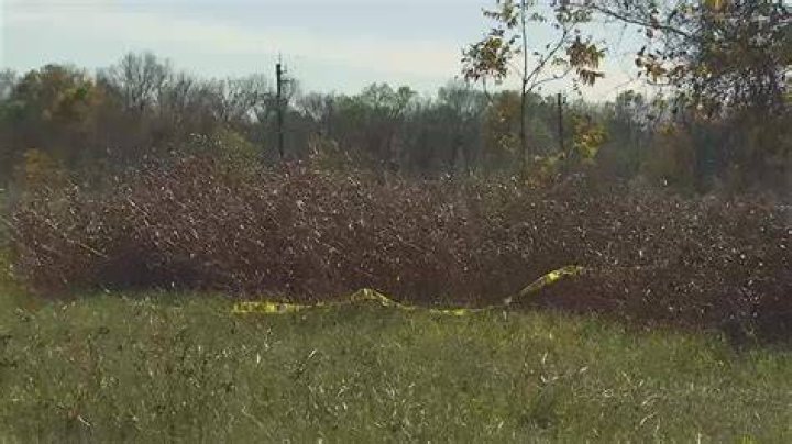 The body of Keniqua Dachelle King, 28, was found Tuesday near FM 521 and FM 1462, not far from the crash scene.