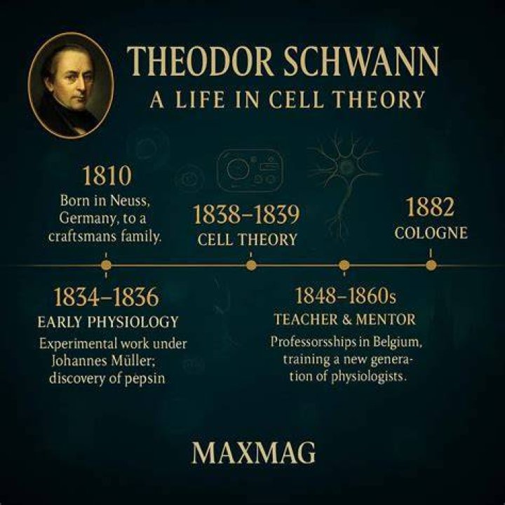 Theodor Schwann Biography - Childhood, Life Achievements & Timeline