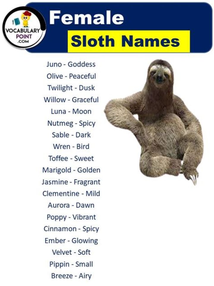 What are good sloth names? – Celebrity