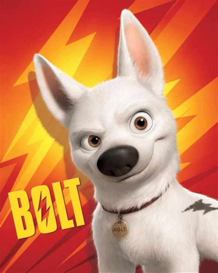 What breed of dog is Bolt? – Celebrity