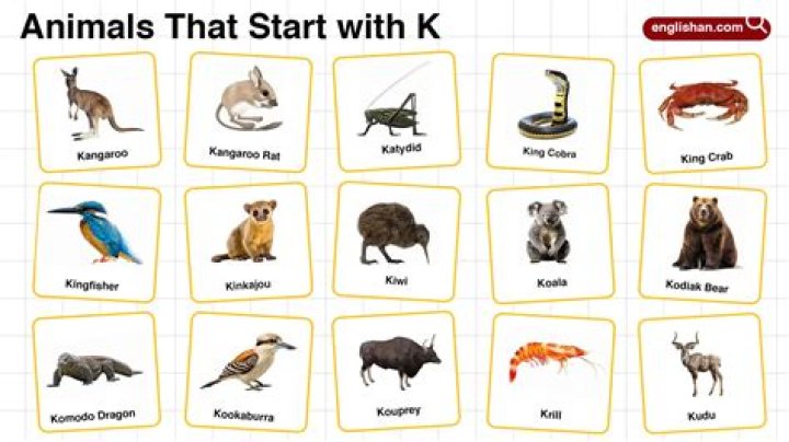 What character begins with K? – Celebrity