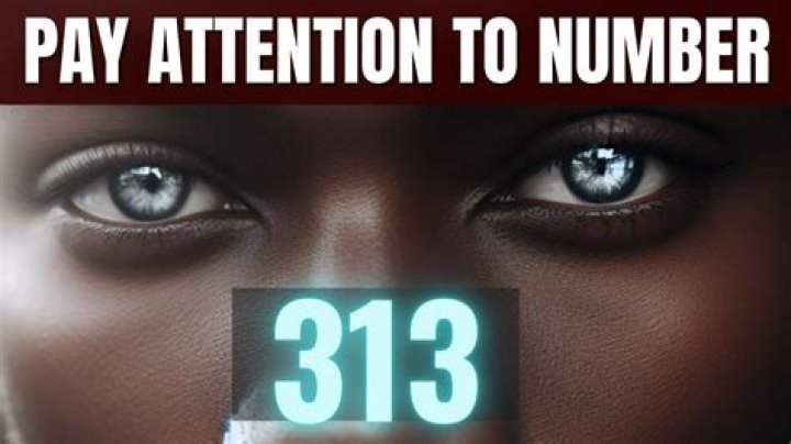 What Does 313 Mean In Twin Flame? – Celebrity