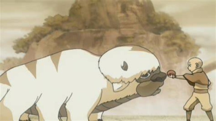 What Happened To Appa After Avatar: The Last Airbender Ended