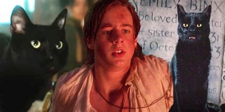 What is Binx real name? – Celebrity