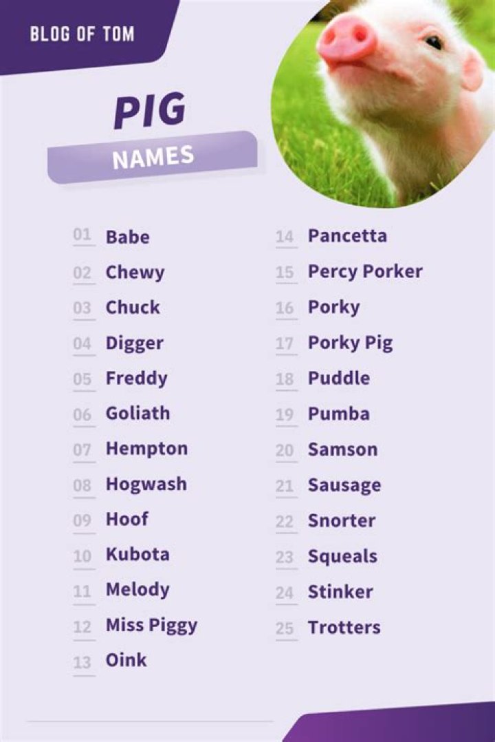 What is Moana’s pig’s name? – Celebrity