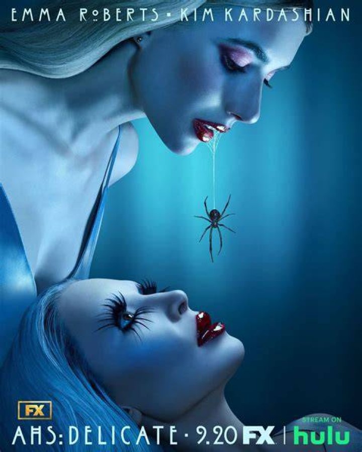 What is the book ‘Delicate Condition’ that ‘American Horror Story’ season 12 is based on?