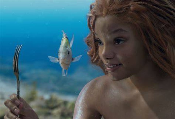 What is the fish’s name in The Little Mermaid? – Celebrity