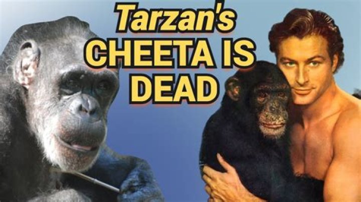 What is the name of Tarzan monkey? – Celebrity