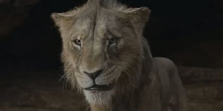 What is the name of the animal that killed Mufasa? – Celebrity