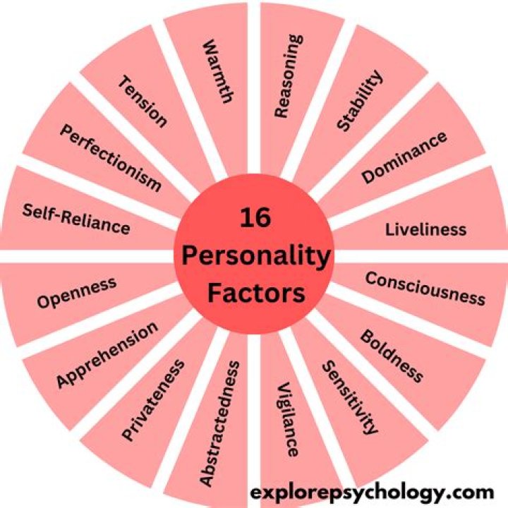 What is the personality of a raccoon? – Celebrity