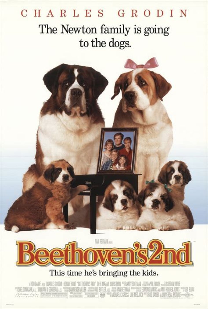 What kind of breed is Beethoven dog? – Celebrity