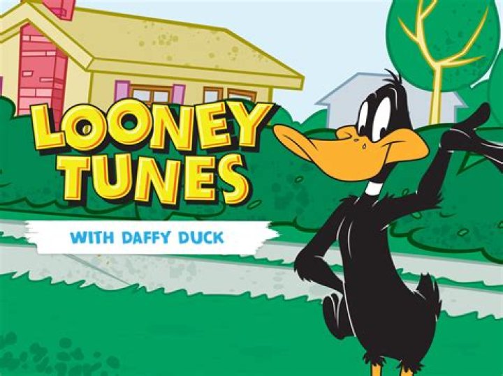 What kind of Duck is Daffy Duck? – Celebrity