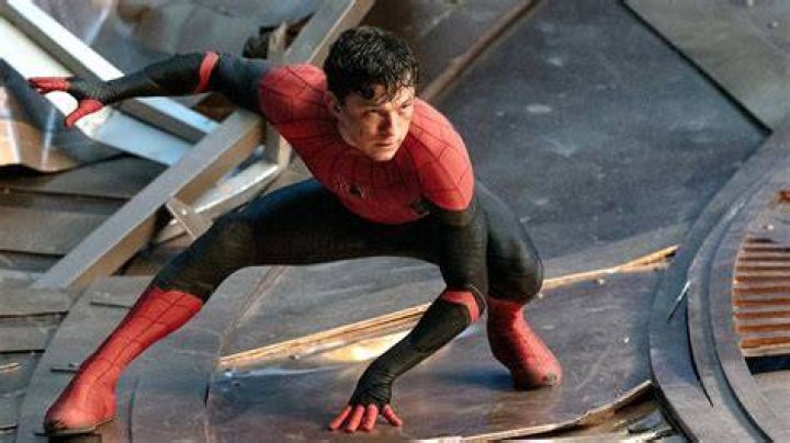 What kind of spider bit Peter Parker, and where can it be found?