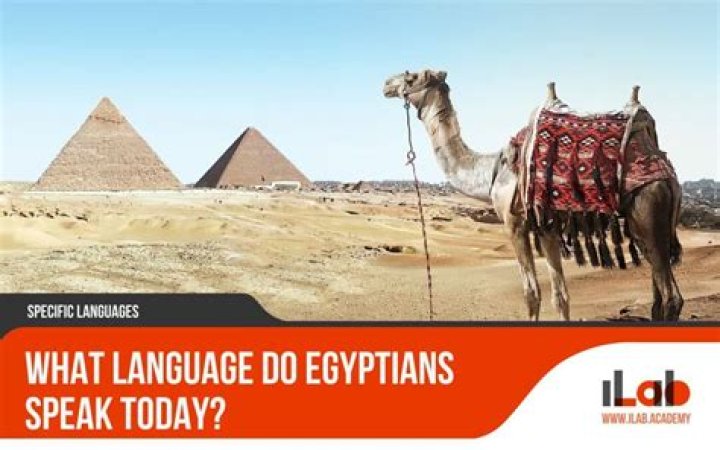 What language is Sarabi? – Celebrity