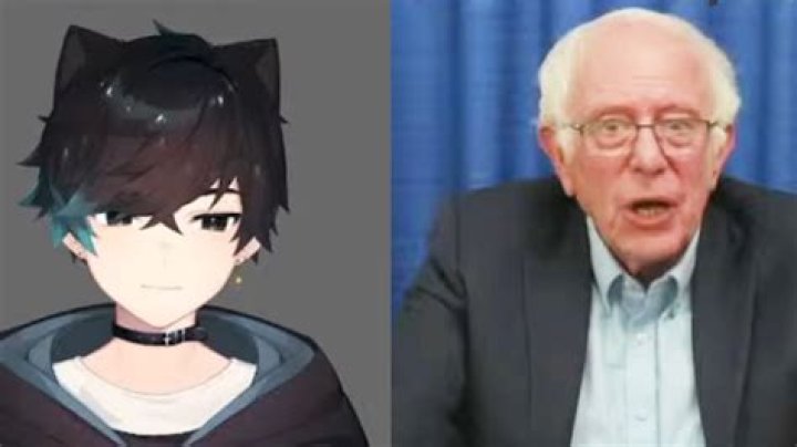 What means Catboy? – Celebrity