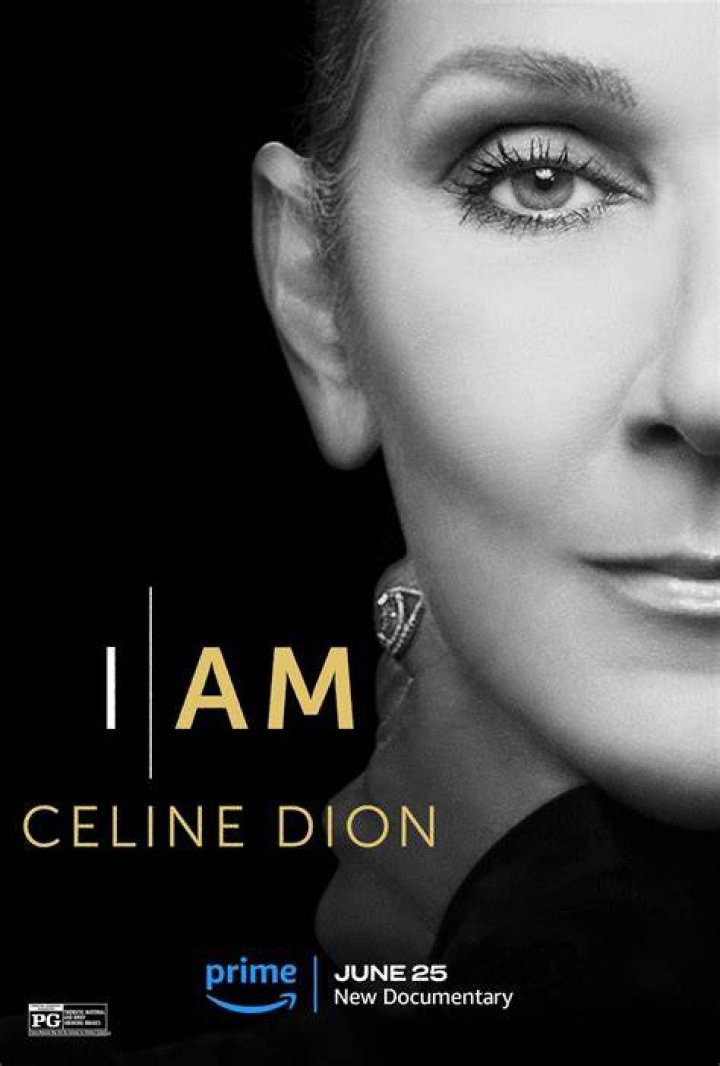What movie was Celine Dion song Because You Loved Me In? – Celebrity