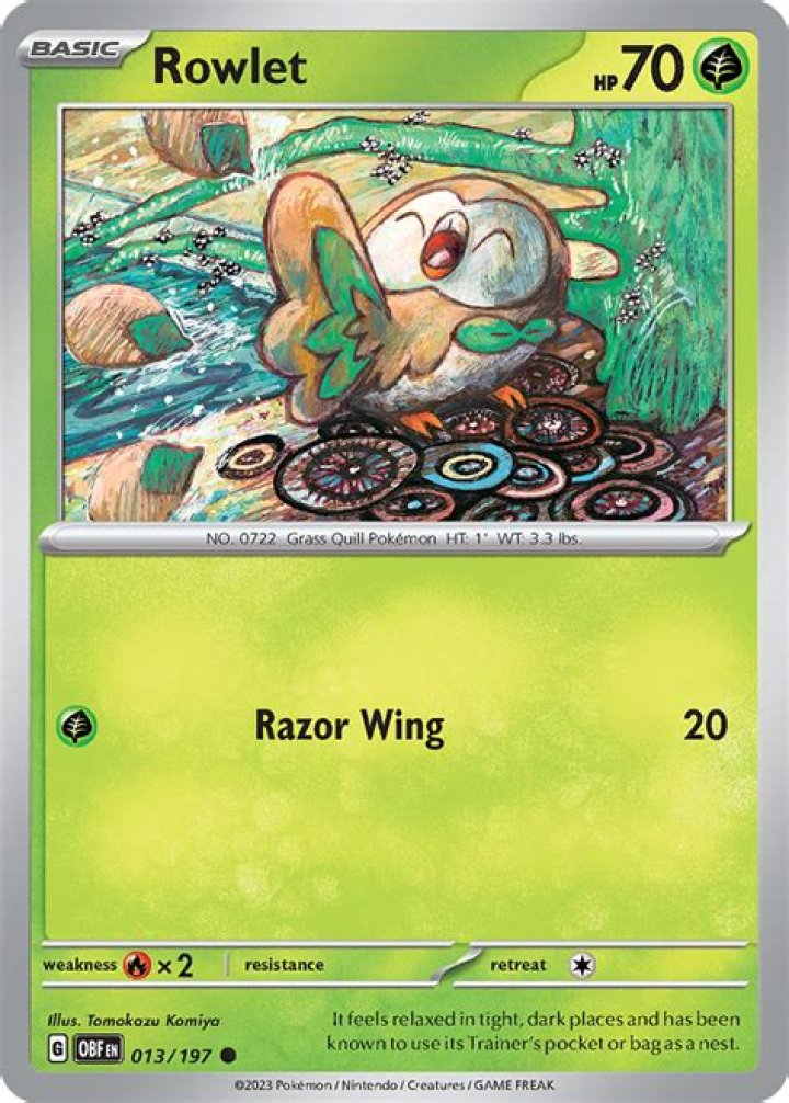What Owl Is Rowlet Based On? – Celebrity