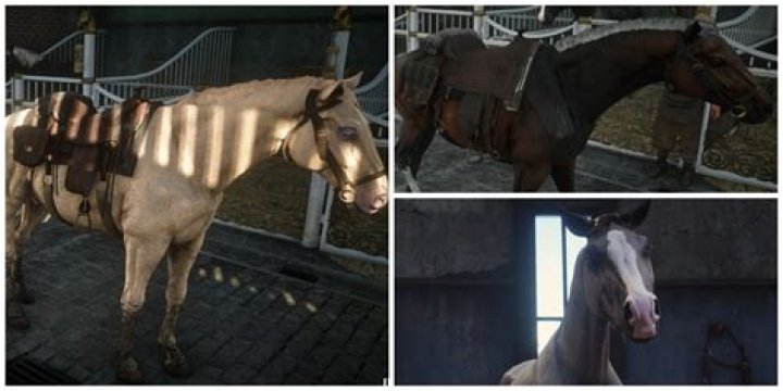 What’s the horses name in Sleeping Beauty? – Celebrity