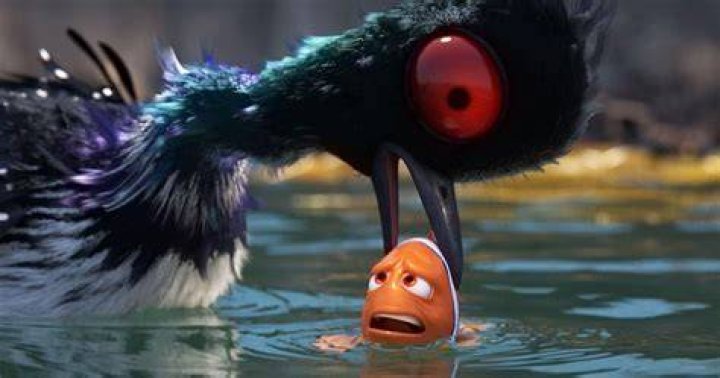 What type of bird is Becky from Finding Dory? – Celebrity