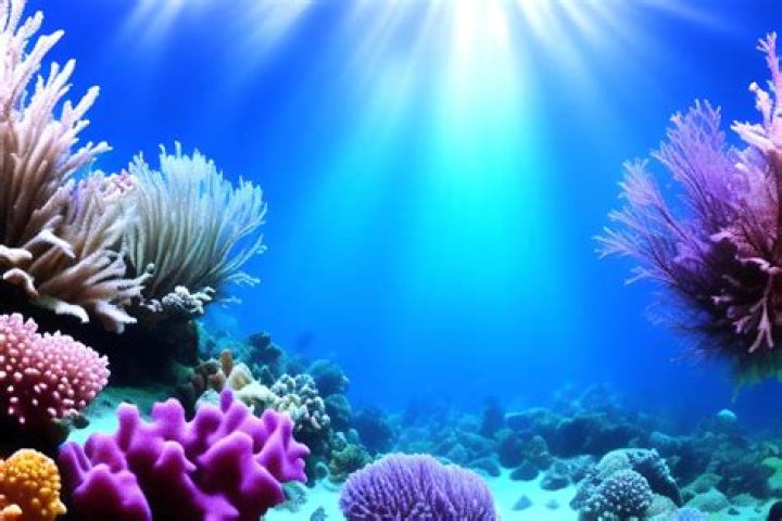 Where were the underwater scenes in Splash filmed? – Celebrity