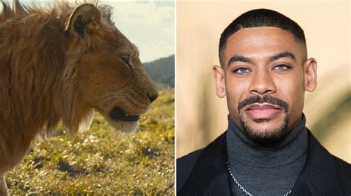 Who has played Mufasa in The Lion King on Broadway? – Celebrity