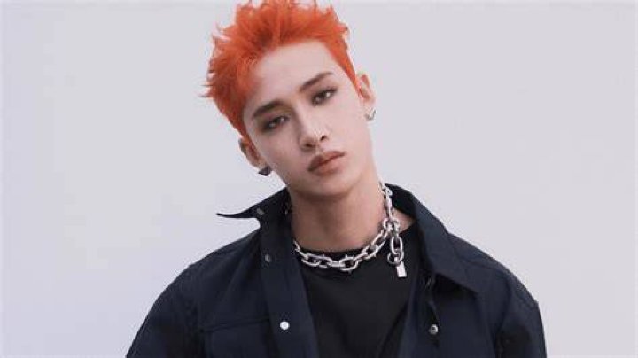 Who is Bang Chan from Stray Kids?